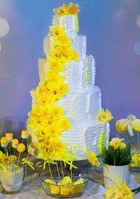  «Кэнди-бар» (М97292)